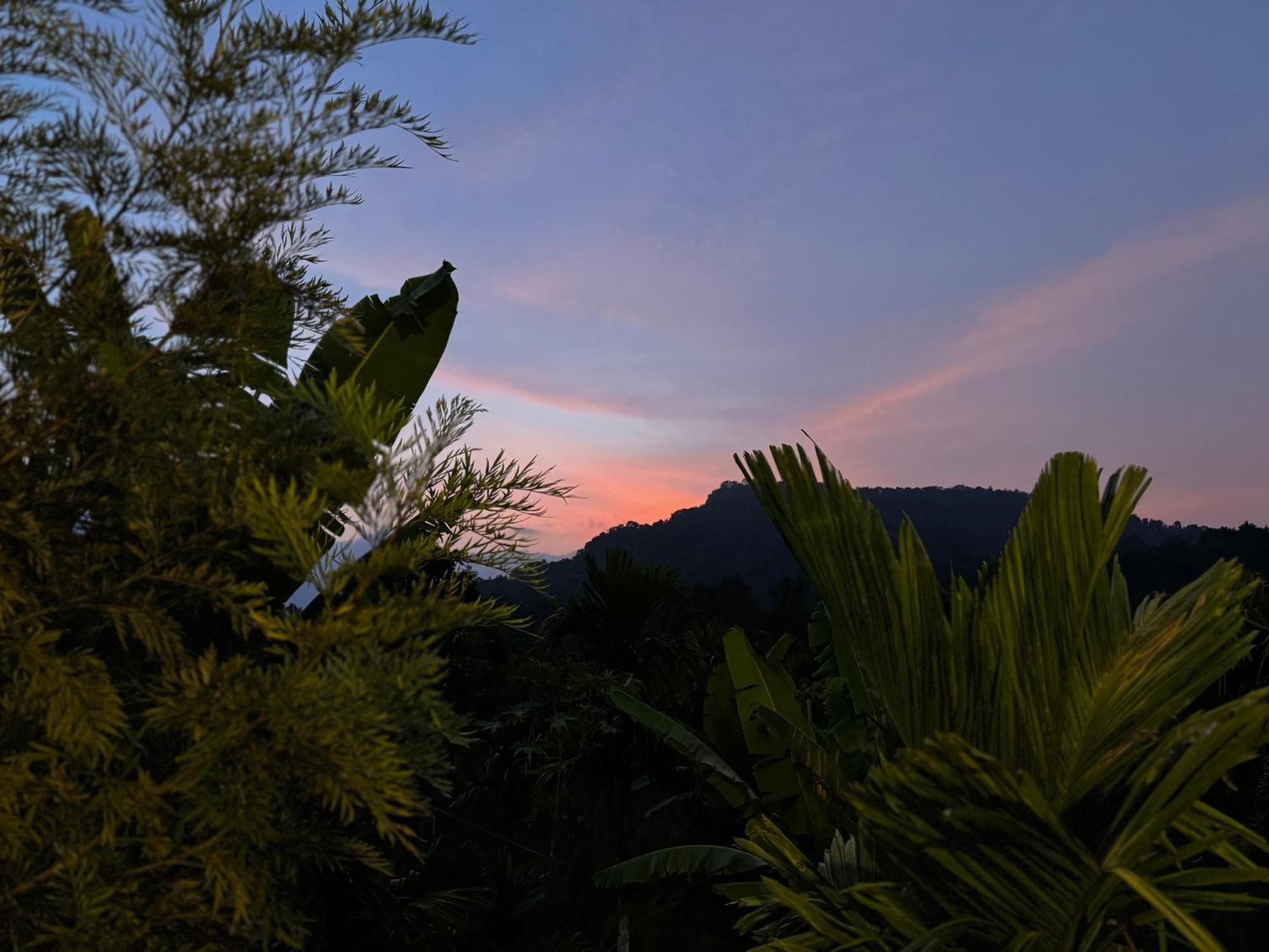 Bendheka - Cliff Front Cottages Coorg Gonikoppal Esterno foto